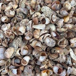 Meet your Posher, Claire